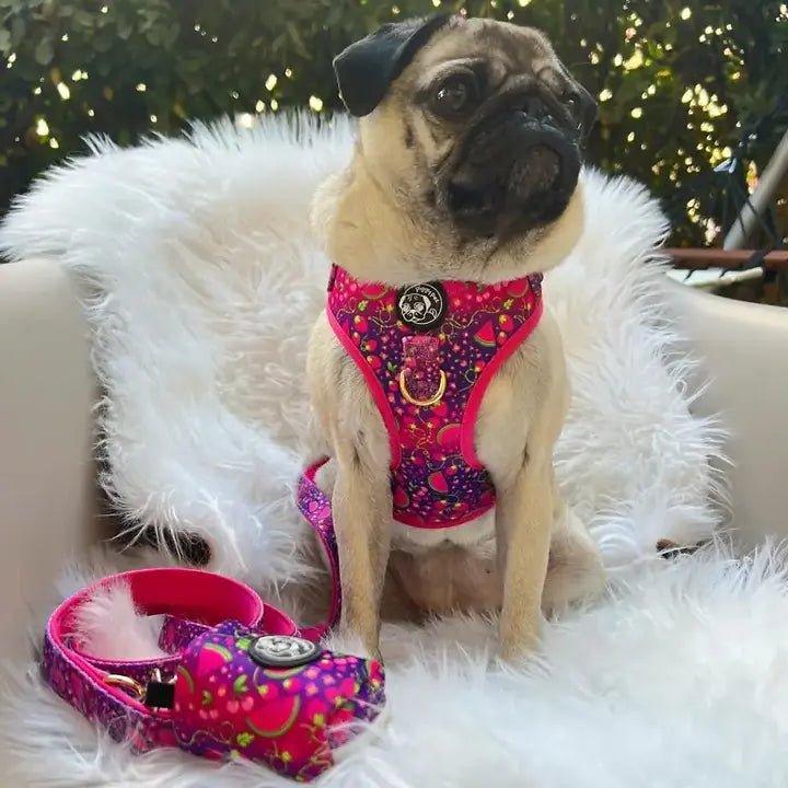 Verstellbares Hundegeschirr | Juicy Fruits - Bobbis Store Hunde
