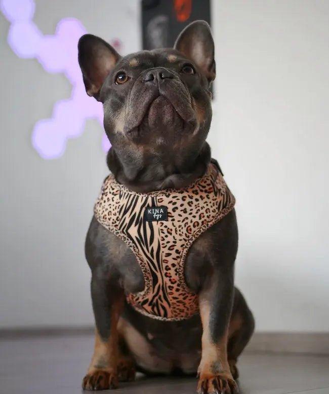 Verstellbares Hundegeschirr | SAFARI - Bobbis Store Hunde