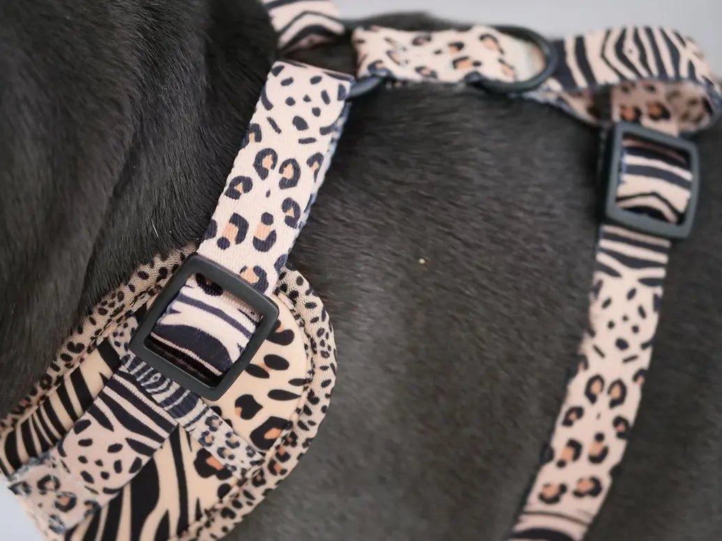 Verstellbares Hundegeschirr | SAFARI - Bobbis Store Hunde