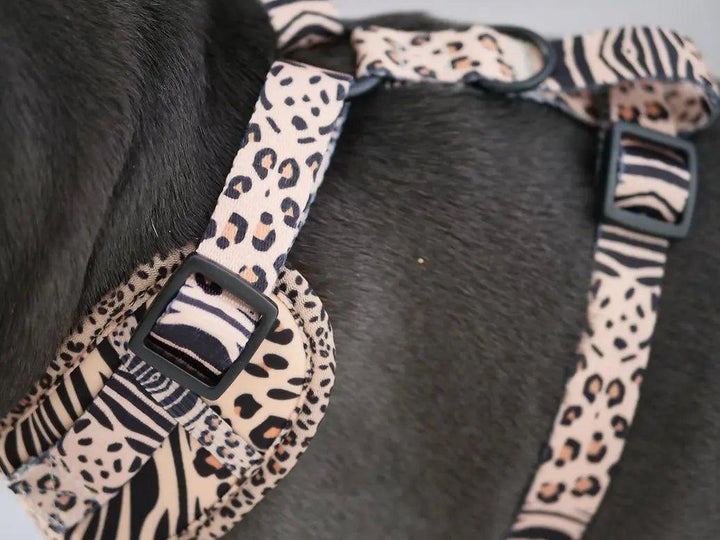 Verstellbares Hundegeschirr | SAFARI - Bobbis Store Hunde