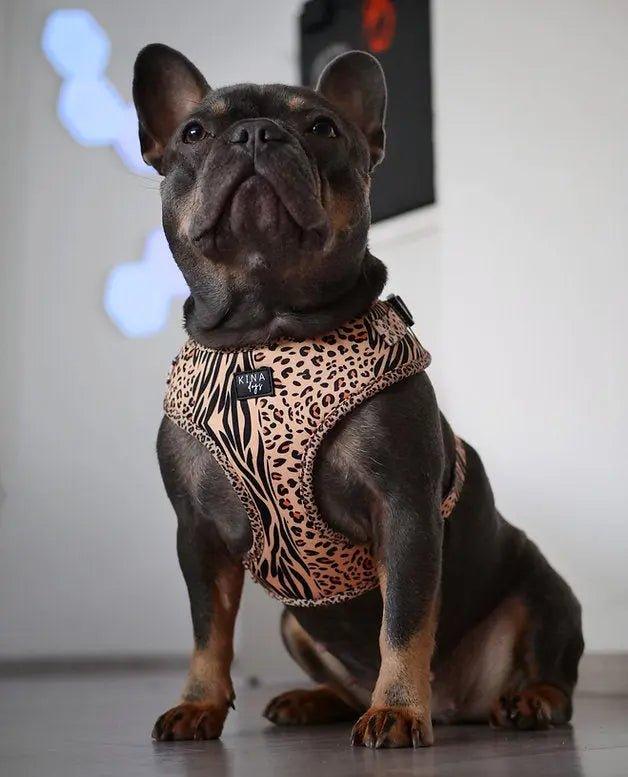 Verstellbares Hundegeschirr | SAFARI - Bobbis Store Hunde
