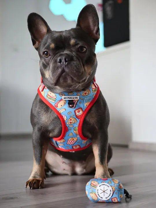 Verstellbares Pups Before Fries - Bobbis Store Hunde