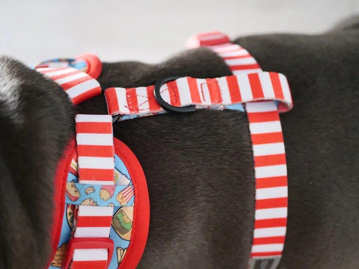Verstellbares Pups Before Fries - Bobbis Store Hunde