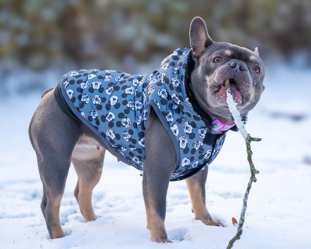 WINTER HUNDEMANTEL MICKEY - Bobbis Store Hunde