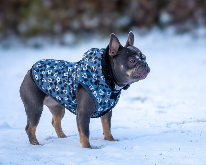 WINTER HUNDEMANTEL MICKEY - Bobbis Store Hunde