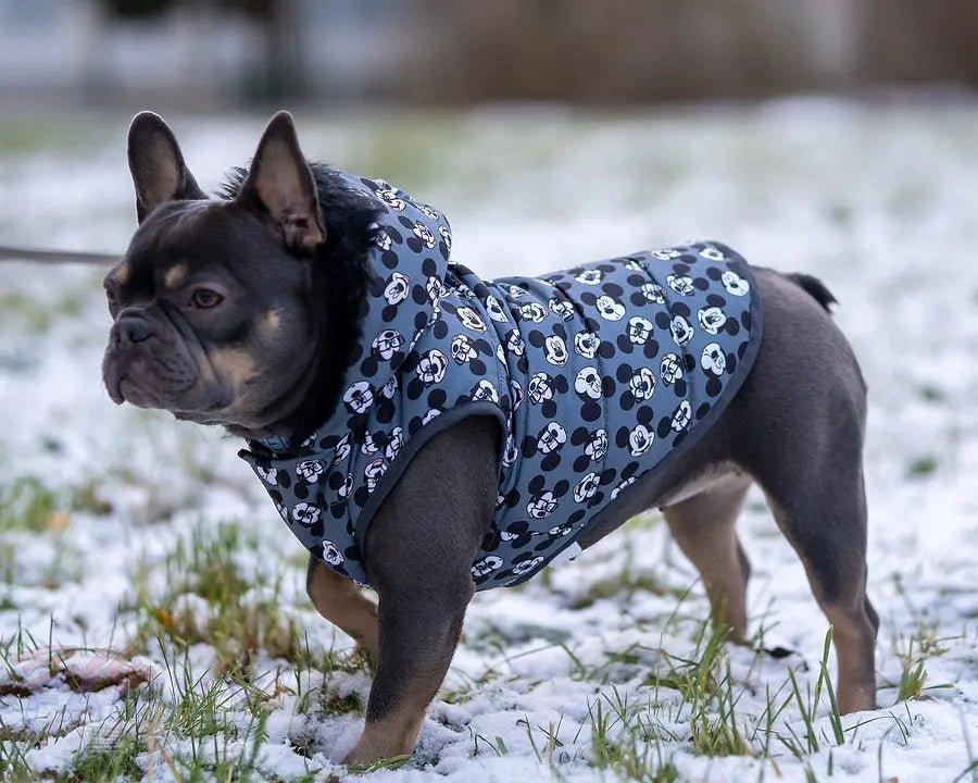 WINTER HUNDEMANTEL MICKEY - Bobbis Store Hunde