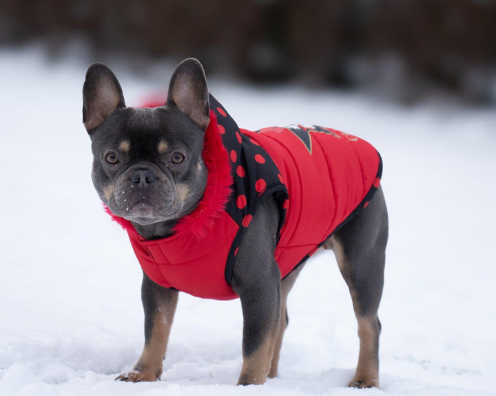 WINTER HUNDEMANTEL MINNIE CLASSIC - Bobbis Store Hunde