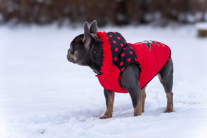 WINTER HUNDEMANTEL MINNIE CLASSIC - Bobbis Store Hunde