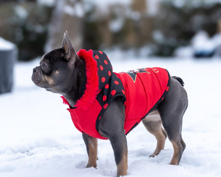 WINTER HUNDEMANTEL MINNIE CLASSIC - Bobbis Store Hunde