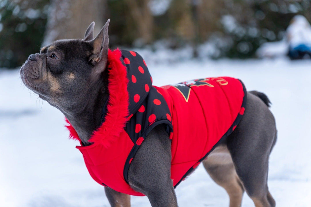 WINTER HUNDEMANTEL MINNIE CLASSIC - Bobbis Store Hunde
