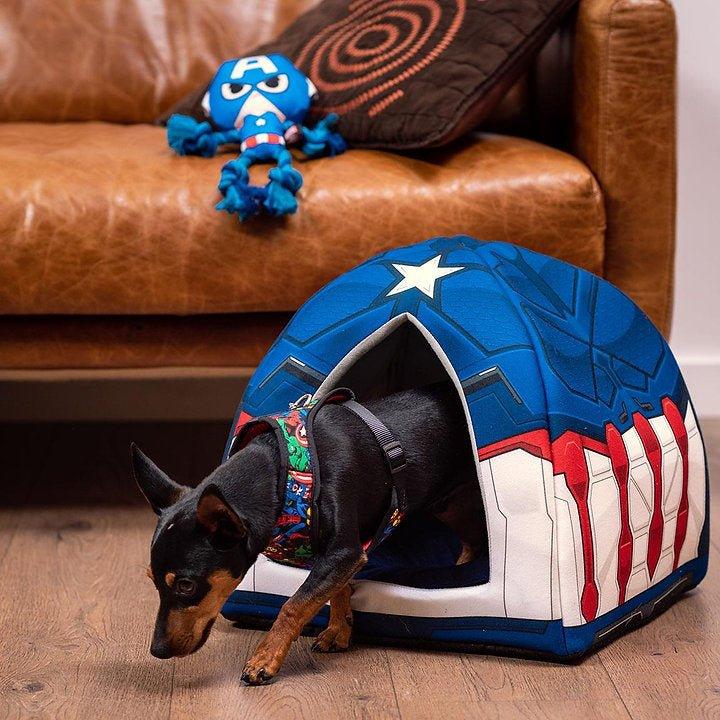 ZAHNSEIL FÜR DOG AVENGERS CAPTAIN AMERICA - Bobbis Store Hunde