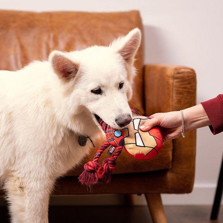 ZAHNSEIL FÜR HUNDE AVENGERS IRON MAN - Bobbis Store Hunde