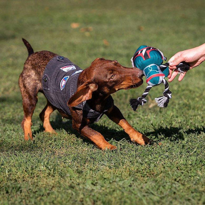 ZAHNSEIL FÜR HUNDE BOBA FETT - Bobbis Store Hunde